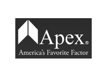 apex logo